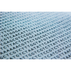 DNA Sequence by FreePik